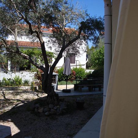 Apartments Olea Pinezici  Exterior photo