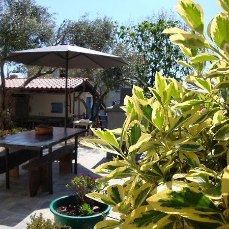 Apartments Olea Pinezici  Exterior photo