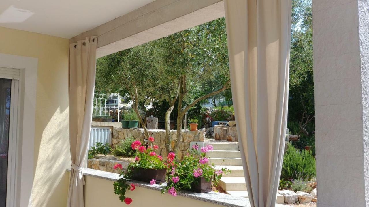Apartments Olea Pinezici  Exterior photo